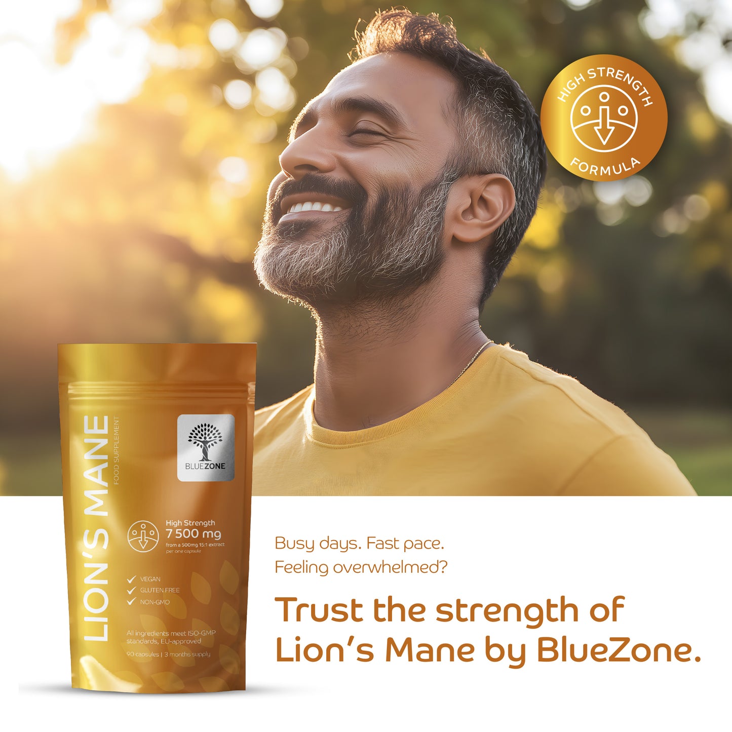 Lion’s Mane for Clarity, Calm and Cognitive Strength