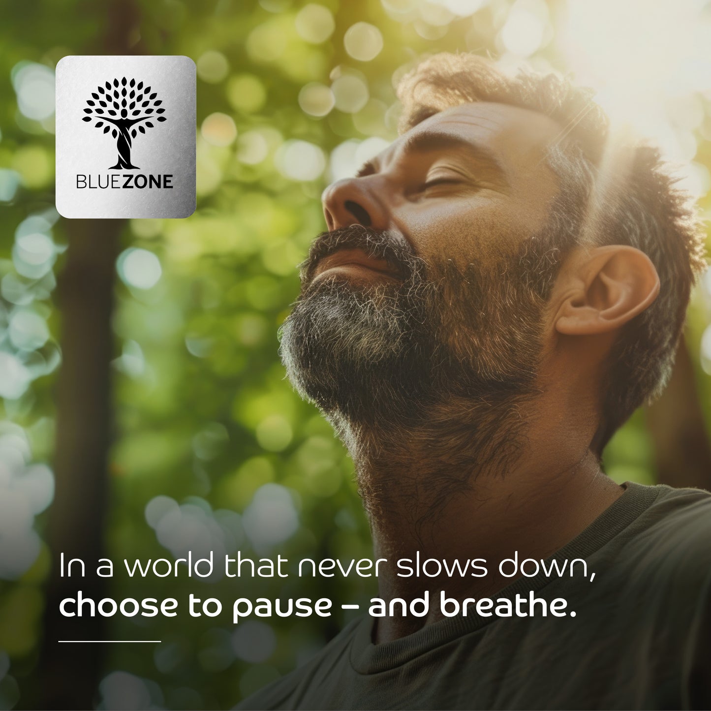 Ashwagandha That Calms Your Mind. Focuses Your Energy. Naturally.